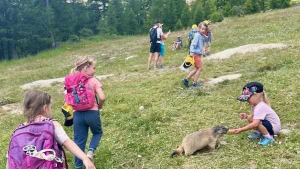Children exploring an alpine meadow at Bushcraft Camps